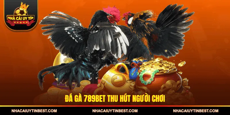 Đá gà 789BET thu hút người chơi 