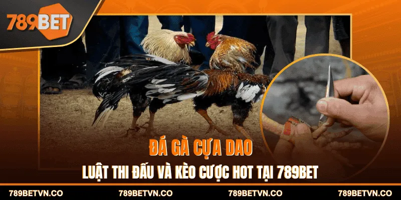 Đá Gà Cựa Dao - Luật Thi Đấu Và Kèo Cược Hot Tại 789BET