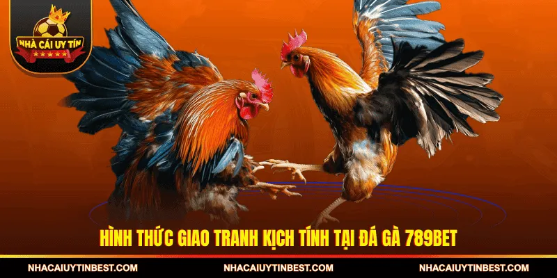 Hình thức giao tranh kịch tính tại Đá gà 789BET