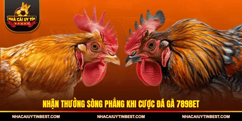 Nhận thưởng sòng phẳng khi cược Đá gà 789BET
