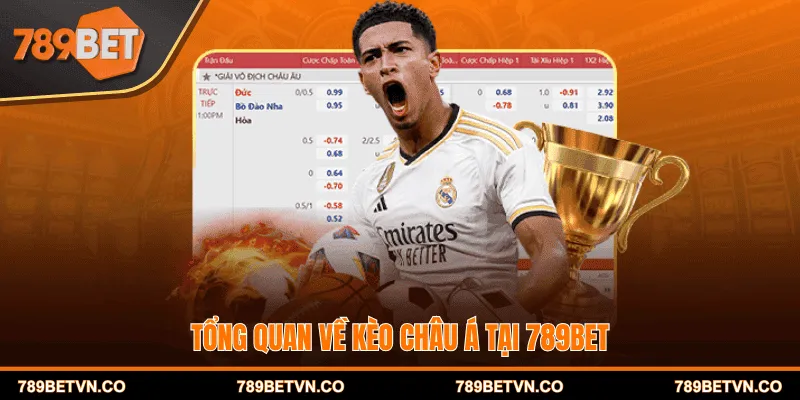 Tổng quan về kèo Châu Á tại 789BET