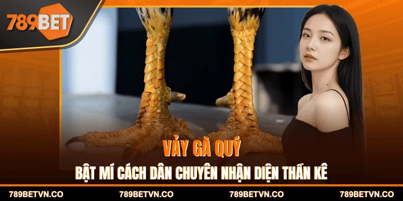 Vảy Gà Quý - Bật Mí Cách Dân Chuyên Nhận Diện Thần Kê